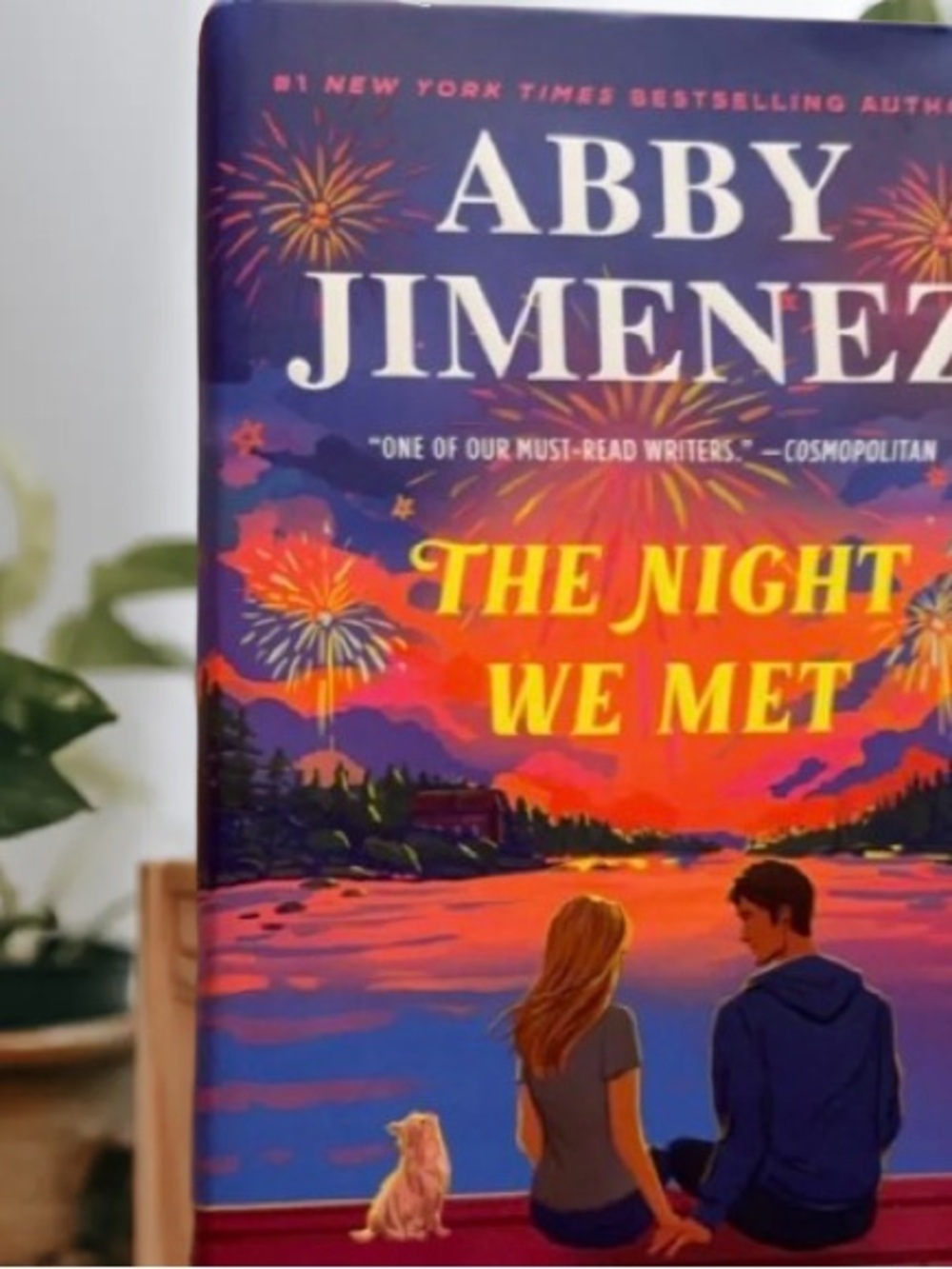 Abby Jimenez - The Night We Met (Vibrant Sunset Cover)